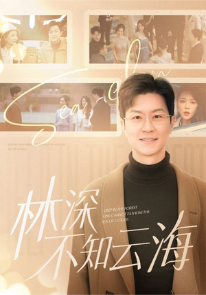 《林深不知云海》（84集）精彩短剧免费在线追