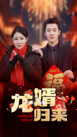 《龙婿归来》（27集）短剧完整剧情在线追看