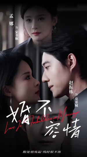 婚不容情(89集) 婚不容情(89集)短剧排行榜