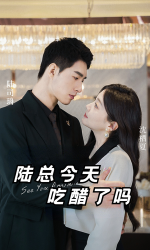 《陆总今天吃醋了吗》（50集）免费看短剧全集不停歇