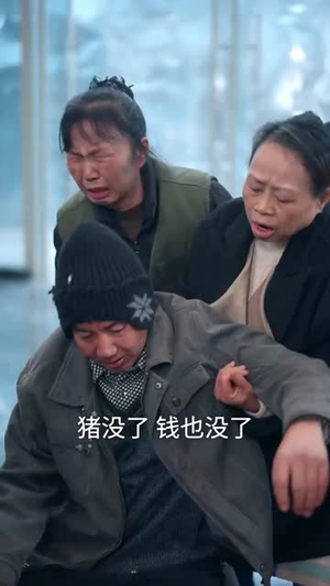 《卖不掉的年猪》（35集）免费看短剧全集不卡顿