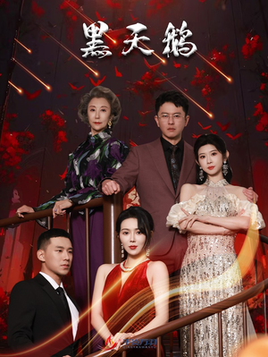 《黑天鹅》（51集）热门短剧在线完整观看