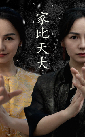 《家比天大》（63集）免费短剧完整版追起来