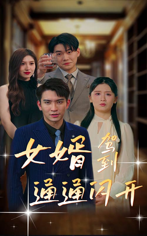 《女婿驾到，通通闪开》（34集）看短剧畅享欢乐不停