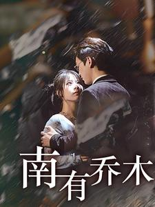 《南有乔木》（60集）短剧好剧全集不间断追