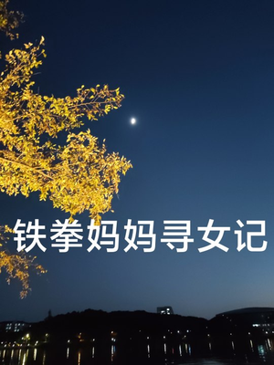 铁拳妈妈寻女记(69集) 铁拳妈妈寻女记(69集)一口气看完全集