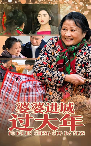 婆婆进城过大年(33集) 婆婆进城过大年(33集)短剧小说在线看