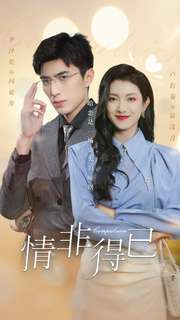 《情非得已》（60集）精彩短剧一集不落追完