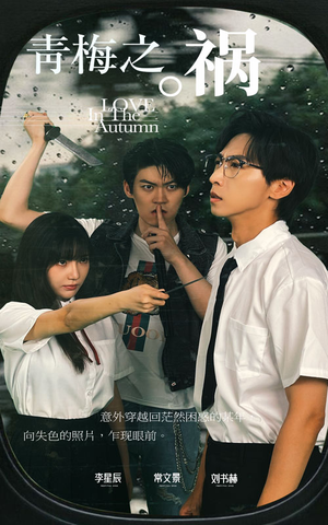 《青梅之祸》（81集）免费畅看短剧全集版