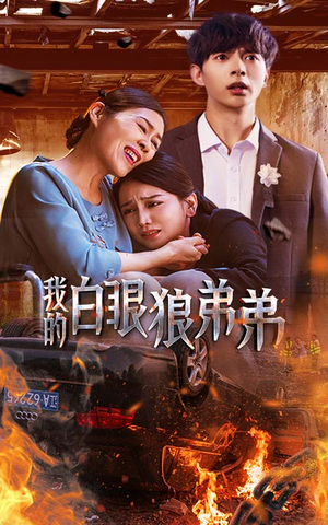 我的白眼狼弟弟(69集) 我的白眼狼弟弟(69集)全集