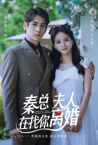 《秦总，夫人在找你离婚》（79集）免费畅看短剧全集追