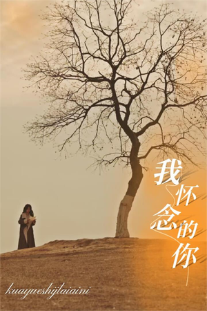 《我怀念的你》（38集）免费短剧畅快看到底