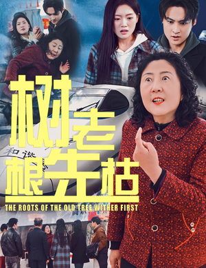 《树老根先枯》（33集）在线畅享短剧完整版