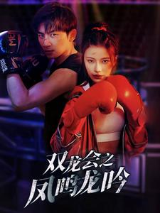双龙会之凤鸣龙吟(80集) 双龙会之凤鸣龙吟(80集)热播短剧追不停