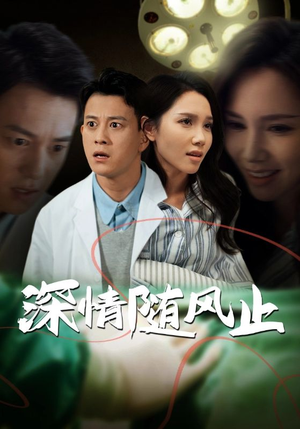 《深情随风止》（54集）短剧在线免费看全剧