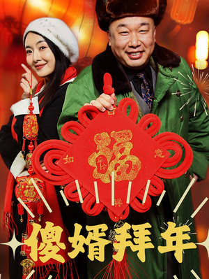 《傻婿拜年》（32集）看短剧乐翻天不停歇