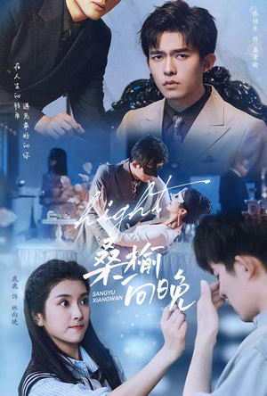 《桑榆向晚》（65集）畅享短剧全集免费看