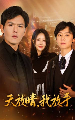 《天放晴，我放手》（35集）免费短剧全集畅快追