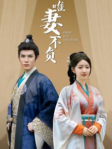 《唯妻不负》（80集）在线短剧免费全集追