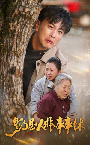 物是人非事事休（41集）精彩不断免费看