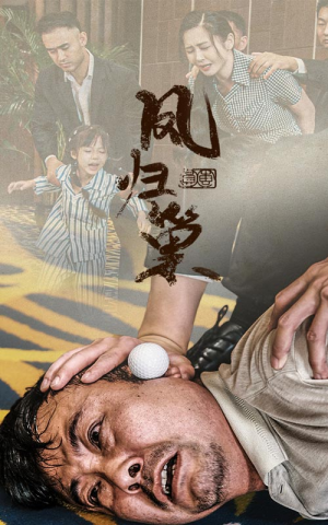 《新版：凤归巢》（68集）精彩短剧一追到底爽