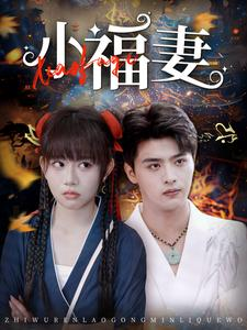 《小福妻》（62集）在线短剧免费看不停歇
