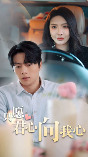 《只愿君心向我心》（31集）短剧免费畅享全集追
