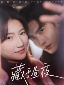 《藏于昼夜》（68集）短剧全集畅享精彩不断