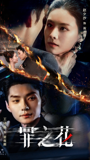 《罪之花》（56集）短剧免费畅享全集追