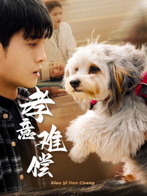 孝意难偿(32集) 孝意难偿(32集)短剧排行榜