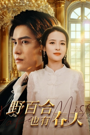 《野百合也有春天》（85集）免费短剧畅享全集观影