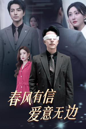 《失明之后爱意尽毁》（30集）在线畅享短剧精彩集