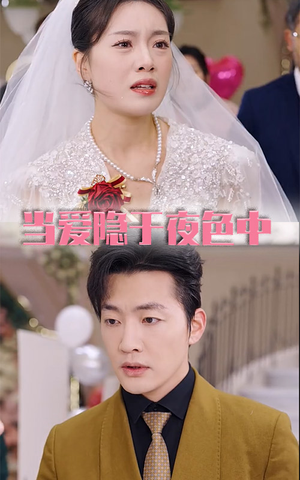 《当爱隐于夜色中》（37集）短剧全集免费畅追