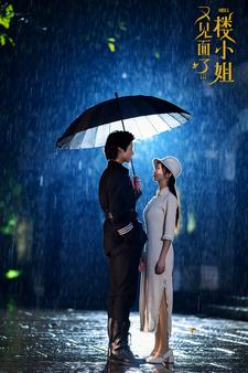 《又见面了楼小姐》（68集）免费短剧畅享在线追