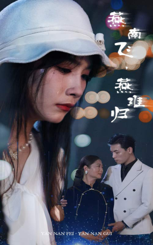 《燕南飞，燕难归》（31集）短剧精彩剧情一次看够