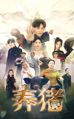 《养猪》（74集）短剧在线看精彩不停歇