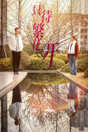 《只待繁花开》（35集）短剧精彩剧情在线畅看