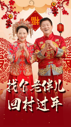 《找个老伴儿回村过年》（58集）看短剧全集欢乐不停歇