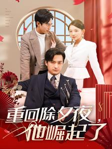 重回除夕夜他崛起了(89集) 重回除夕夜他崛起了(89集)大结局