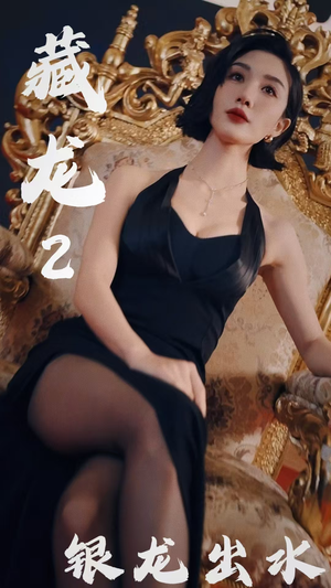 藏龙2银龙出水(35集) 藏龙2银龙出水(35集)好看上头的短剧