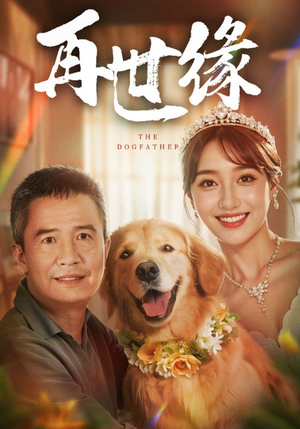 《再世缘》（41集）免费短剧在线看全集