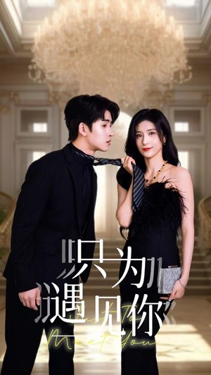 《只为遇见你》（88集）免费短剧全集看个不停歇