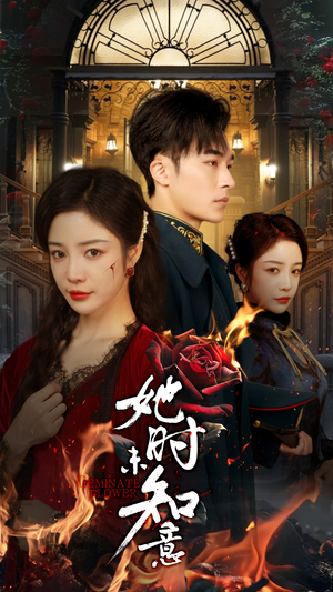 《她时未知意》（70集）热门短剧在线连续看