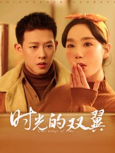 《时光的双翼》（94集）热门短剧免费畅享追不停