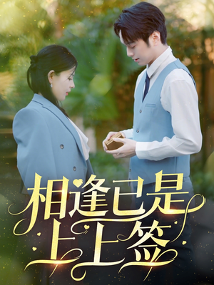 《相逢已是上上签》（30集）在线看短剧全集免费