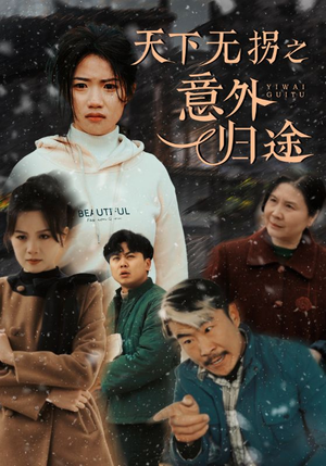 《天下无拐之意外归途》（61集）免费看短剧全集盛宴