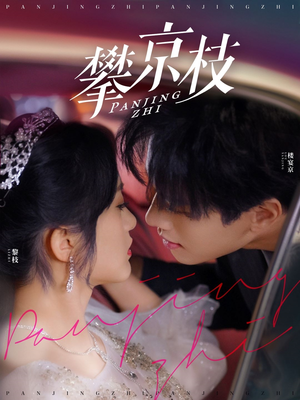 《攀京枝》（80集）短剧精彩剧情一键看