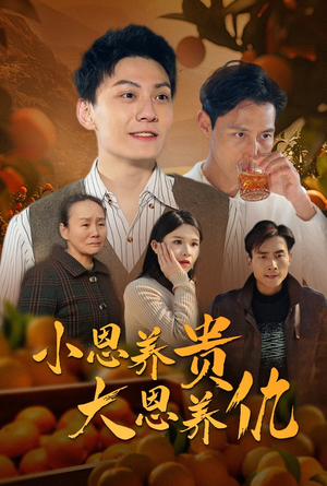 《小恩养贵大恩养仇》（34集）免费在线看短剧全集
