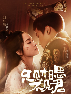 《只见相思不见君》（82集）精彩短剧在线免费全集追