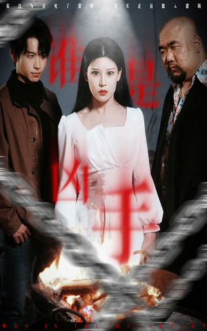 《谁是凶手》（31集）短剧在线免费追不停